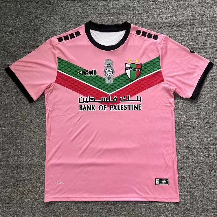 T-shirt PALESTINE nombreux model